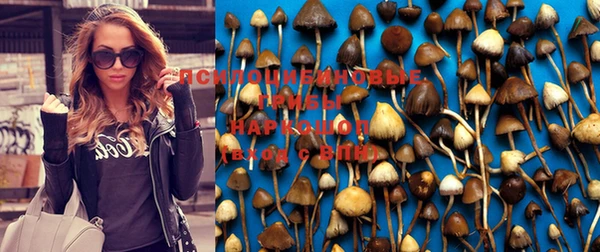 прущий лед Белоозёрский