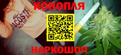 шишки Шебекино