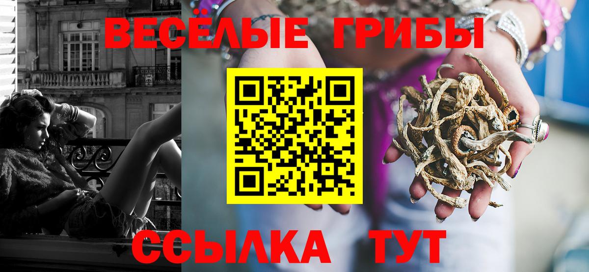 Галлюциногенные грибы Magic Shrooms Ногинск